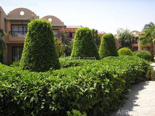 Ali Baba Palace Resort 14